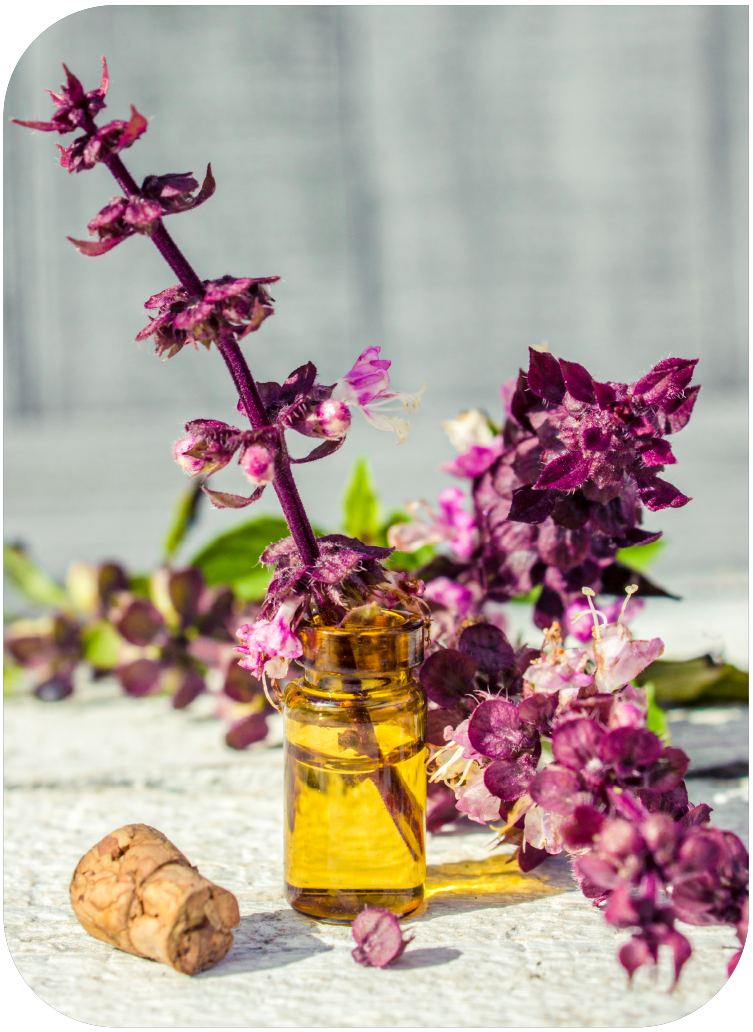 flores-peque